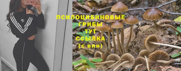 таблы Алексеевка