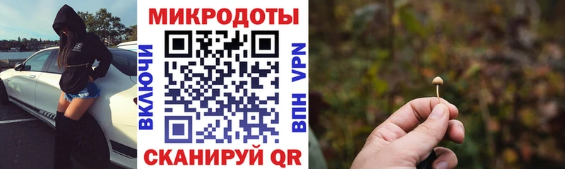 продажа наркотиков  МЕГА как зайти  Псилоцибиновые грибы мицелий  Череповец 